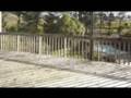 videos de Real Family Lifestyle, Albany, Auckland.NZ.