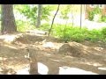videos de ripping in newlowell 1