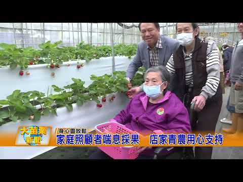 110 04 28 大苗栗新聞|家庭照顧者喘息採果店家青農用心支持