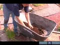 How To Mix Soil For A Black Eyed Susan How To Mix Soil For A Black Eyed Susan