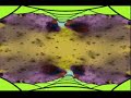 Gwendal - Irish Jig