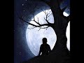 luz de noches - ana mallit luz de noches - ana mallit