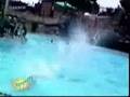mieszny-Film