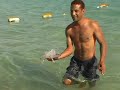 El Mouradi Hammamet Hotel - Tunézia El Mouradi Hammamet Hotel - Tunézia