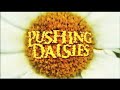Pushing Daisies Comic-Con