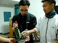 T?t 2008 - Làm gị th? T?t 2008 - Làm gị th?