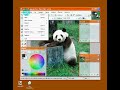 C�mo alterar el tama�o de una imagen con Paint .NET