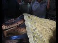 El Señor de las Injurias, en Venado
