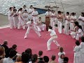 Capoeira -Aleksandar Petrovi? -- Palha�o