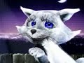 Jamba - Pussycat