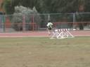 29-11-08 Jornada Sagunt. C.A. SUECA