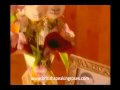Weddings and Anniversary by British Speaking Roses