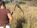 The End of Cheap Oil and The Rise of the Scythe