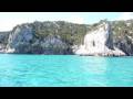 Sardinien Frankrike späckhuggare (killer whales)