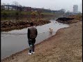 Bono und der wei�e Hai... �h Schwan