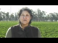 Meet Jan Berk of San Miguel Produce
