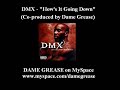 Dmx – How's It Going Down