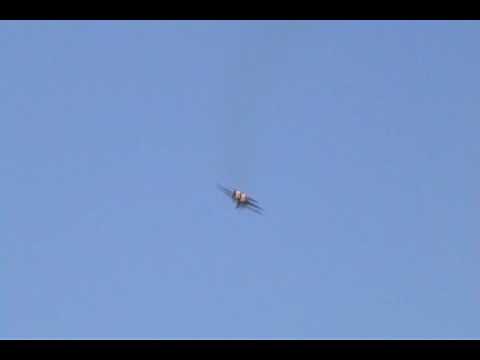 2008 Blue Angels Homecoming - F-15C Eagle Demonstration