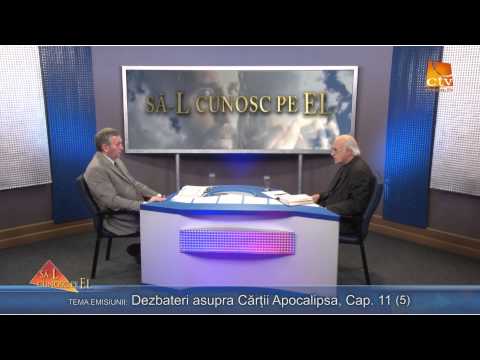 355. Zaharia Bica - Dezbateri asupra Cartii Apocalipsa, Cap. 11 (5) 355. Zaharia Bica - Dezbateri asupra Cartii Apocalipsa, Cap. 11 (5)