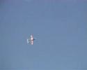 Bellota jet 2008 Video1/2