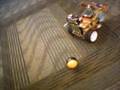 Preliminary test of robot hardware