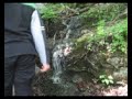 fresh water
