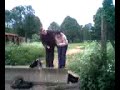 saute saute