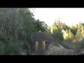 videos de trick session 11/17/08