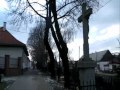 Érsekcsanád -András Neszvecskó