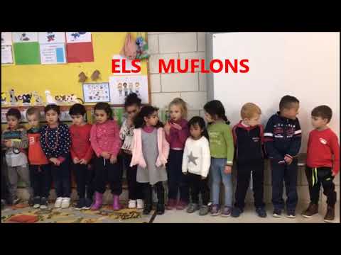 Imatge de previsualització de YouTube