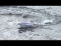 TRAXXAS-VILLAIN-EX-L