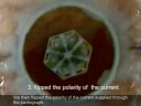 Tribolon: Water Based Self-Assembly Robot 2