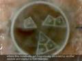 Tribolon: Water Based Self-Assembly Robot 2