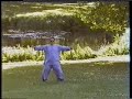 Tai Chi Gong