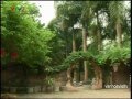 Click to View : HÒA BÌNH - GÓC NHÌN ĐỊA VĂN HÓA