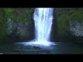 Multnomah Falls, salmon and bald eagle. Multnomah Falls, salmon and bald eagle.