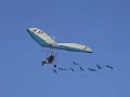 The geese of Christian Moullec is flying behind the Delta on a airshow.