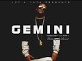 GemStones a.k.a. Gemini - Warning