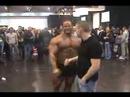 FIBO 2008 - Markus Becht 13/04/08
