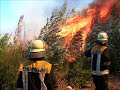 incendio forestal