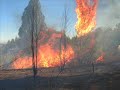 Incendio forestal
