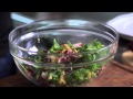 It's Easy Eating Green: Fall Salad Recipe