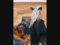 control machete- nostalgia