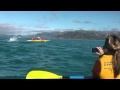 Kayaking with 100s of Dusky Dolphins!