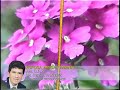 VTS_01_4VOB