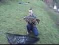 nice carp from coots corner hitchin