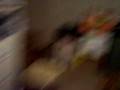 videos de sasquach attacks child with PS2