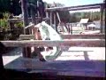 retard flip