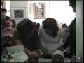 Nechama's and Yehudit Bat Mitzvah - Thurs AM Torah reading