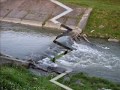 Setnja Pozegom